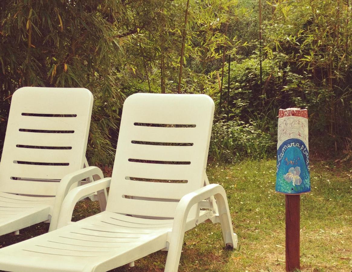 Agriturismo Botro Pulicciano Ngoại thất bức ảnh