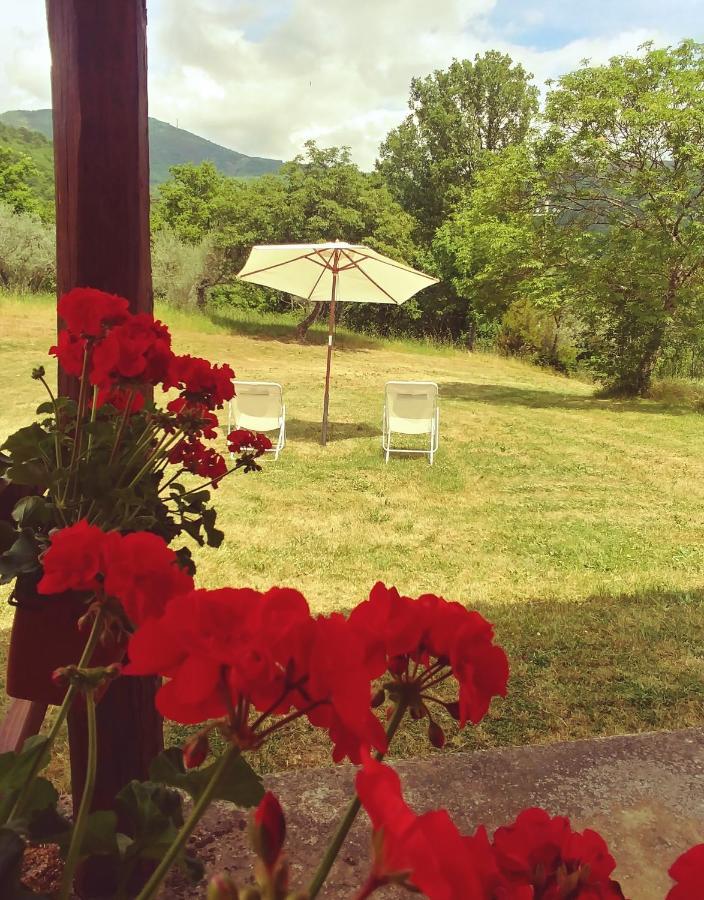Agriturismo Botro Pulicciano Ngoại thất bức ảnh